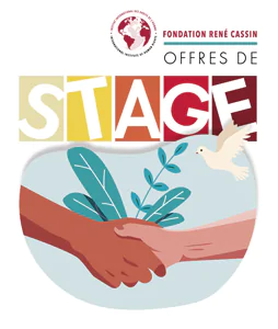 Fondation René Cassin offres de stage